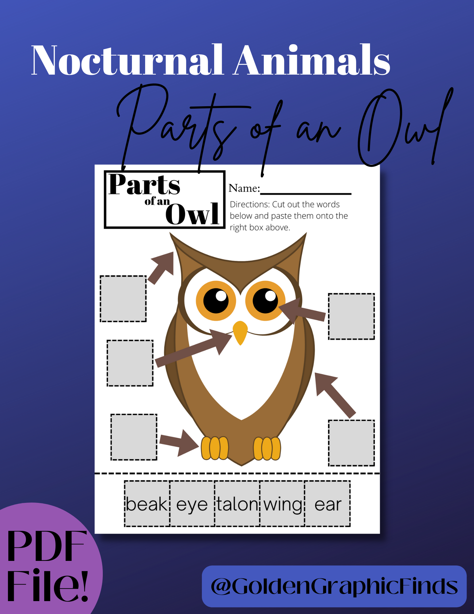 Halloween Nocturnal Animal Activity - Parts of an Owl
