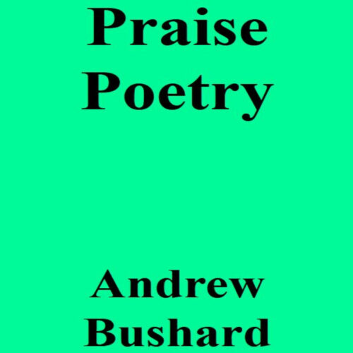 Praise Poetry Audiobook's featured image