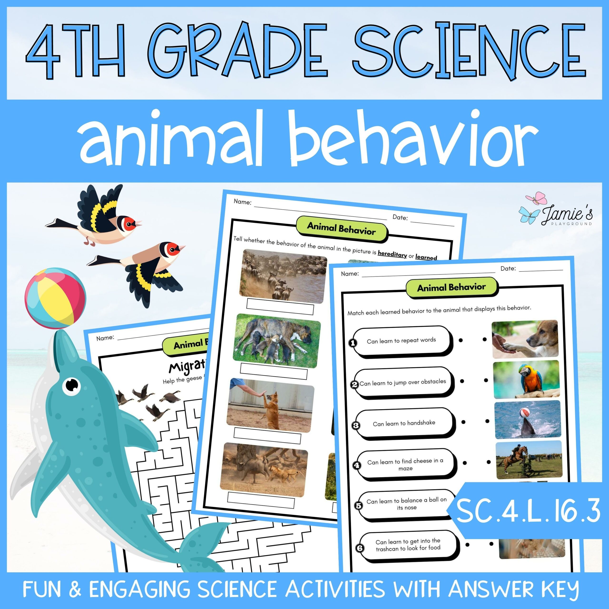 Animal Behavior - 4th Grade Life Science - ACTIVITIES + ANSWER KEY