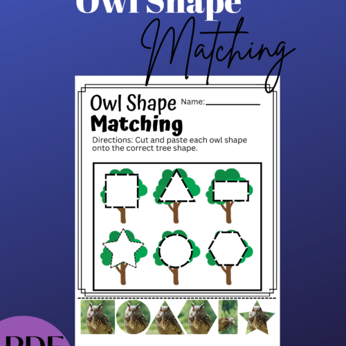 Halloween Nocturnal Animals Activity - Owl Shape Matching's featured image