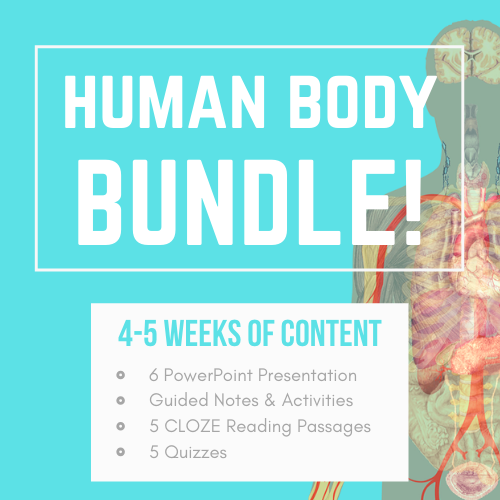 Human body organ systems unit powerpoints guided notes activities
