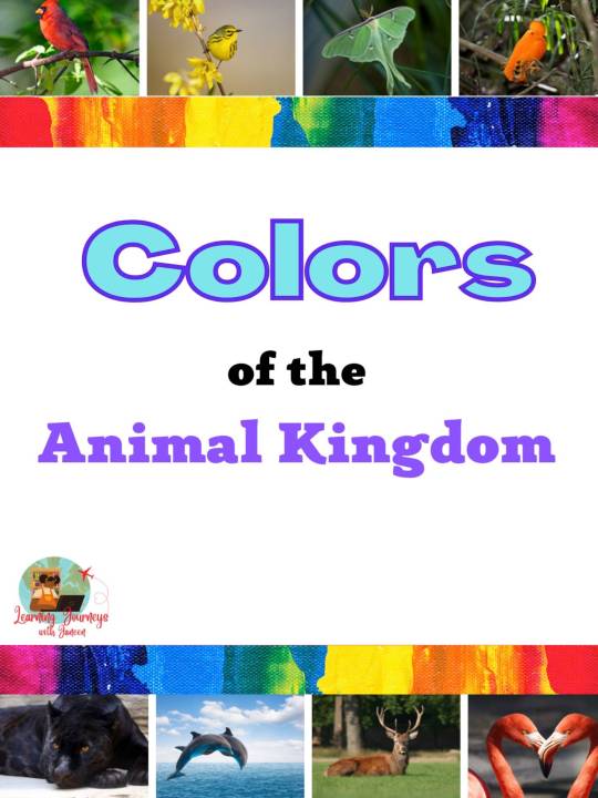 Wildlife Photo Color Posters - Colors of The Animal Kingdom
