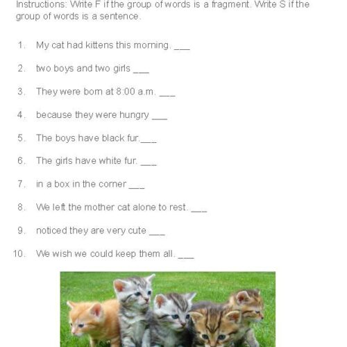 Kittens Sentence or Fragment worksheet's featured image