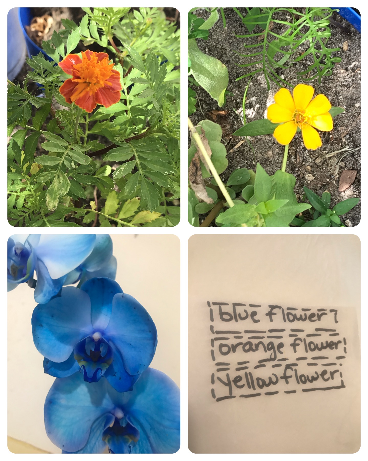 color-match-classful