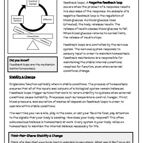 Homeostasis And Feedback Loops Reading Passage And Questions Classful 4835