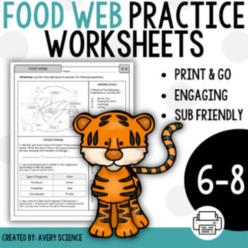Food Web Practice Worksheets's featured image
