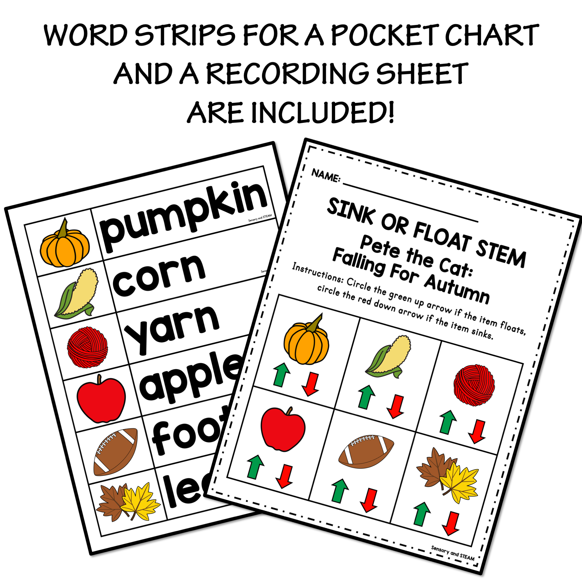 FALL THEMED SINK OR FLOAT SCIENCE EXPERIMENT FOR PRESCHOOL | PETE BOOK  ACTIVITY - Classful, image size:1999x1999