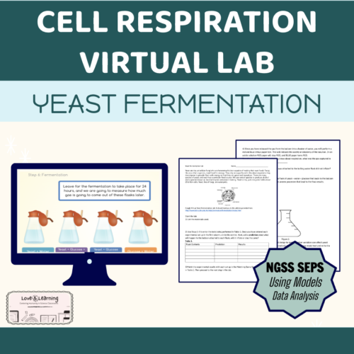 Cellular Respiration Activity's featured image