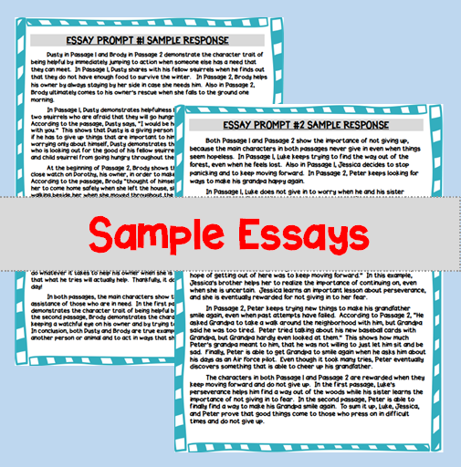 5 para essay format