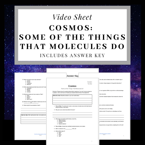 Cosmos Episode 2 Video Sheet: 