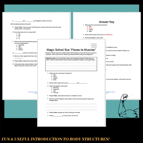 The Magic School Bus Flexes Its Muscles Video Sheet Classful