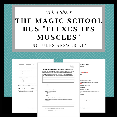 The Magic School Bus Flexes Its Muscles: Video Sheet's featured image
