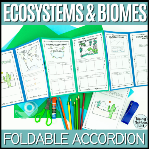 Ecosystems & Biomes Foldable Accordion Activity's featured image