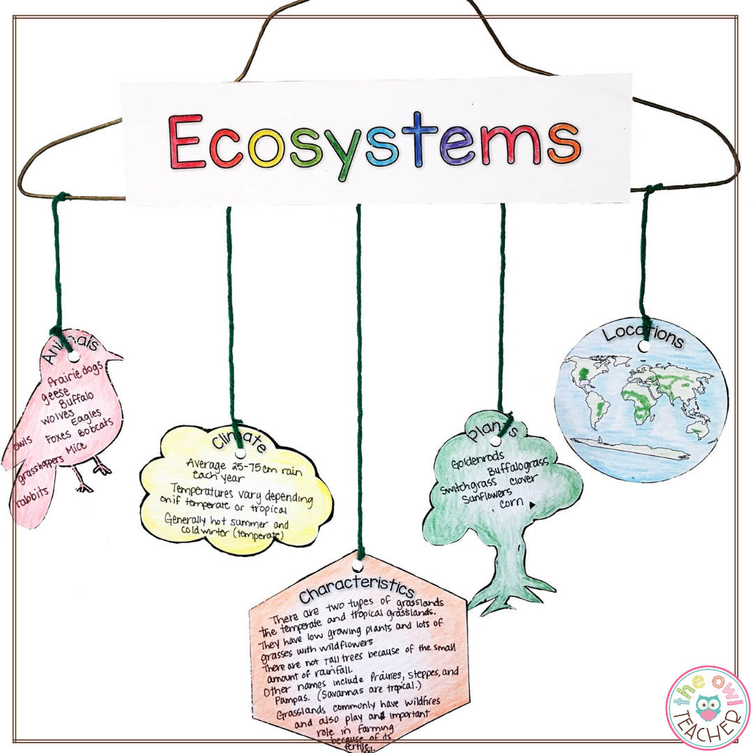 Ecosystems and Biomes Project Ecosystems Mobile & Activity - Classful