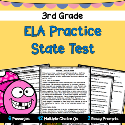 3rd Grade ELA Practice State Test #1's featured image