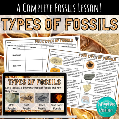 Types of Fossils Lesson with Google Slides, Notes, Worksheet, and ...