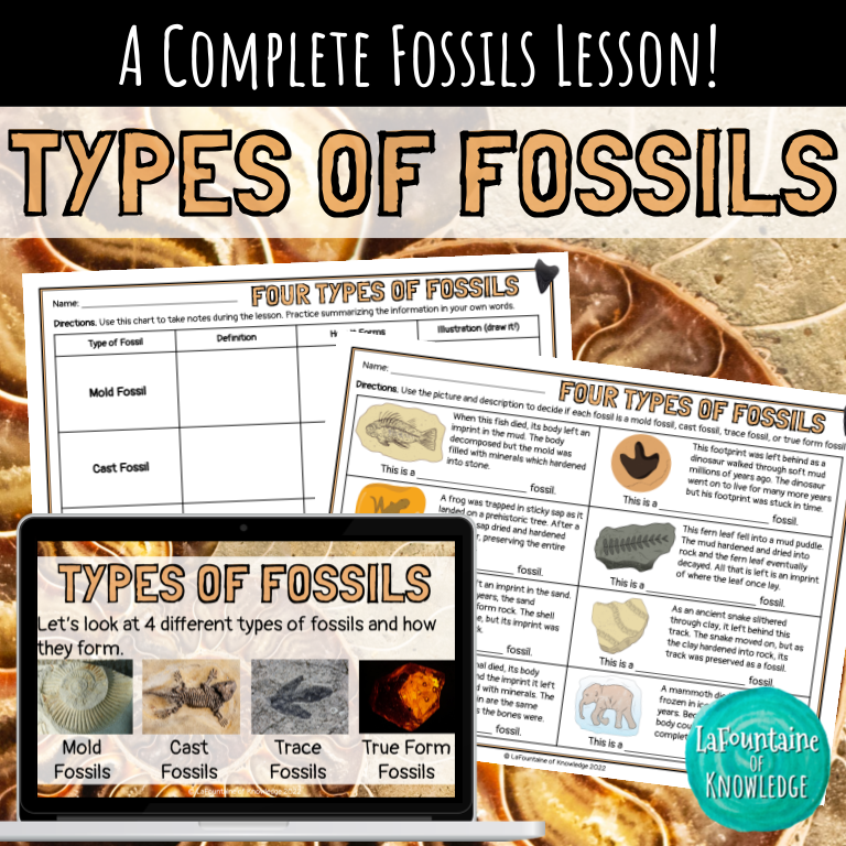 Types of Fossils Lesson with Google Slides Notes Worksheet and