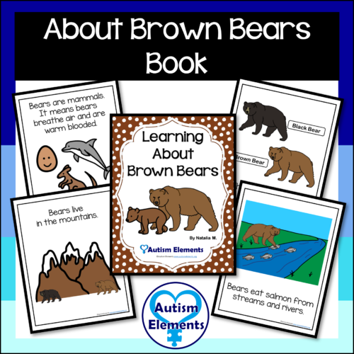 About Brown Bears Book- Bears- Winter- Seasons- Autism & Special Education's featured image