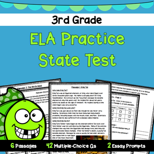 3rd Grade ELA Practice State Test #2's featured image