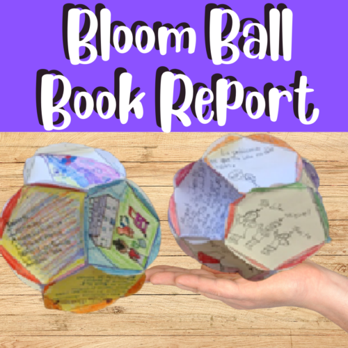 Bloom Ball Book Report- A creative project for any novel upper elementary's featured image