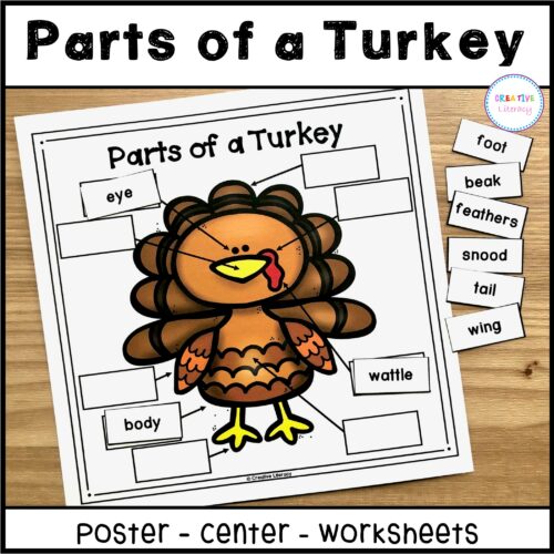 Turkey Labeling Activity's featured image