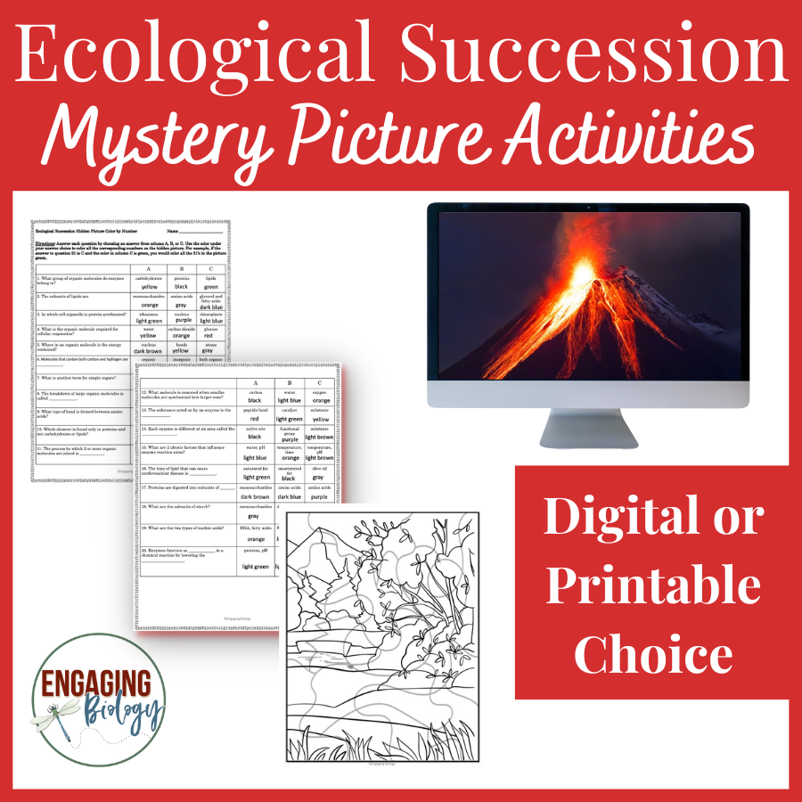 Ecological Succession Hidden Picture Activities