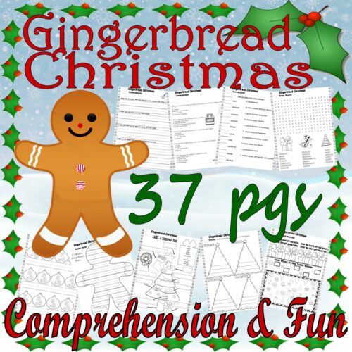 Gingerbread Christmas Book Study Companion Reading Comprehension Literacy Quiz Worksheets's featured image
