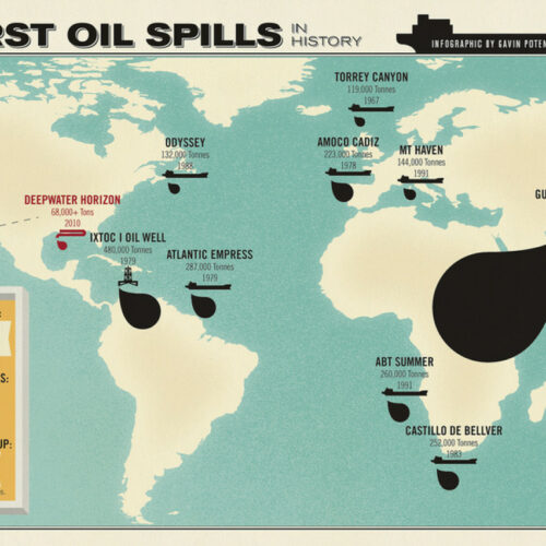 Oil Spill project (math, science, literacy, social studies)'s featured image