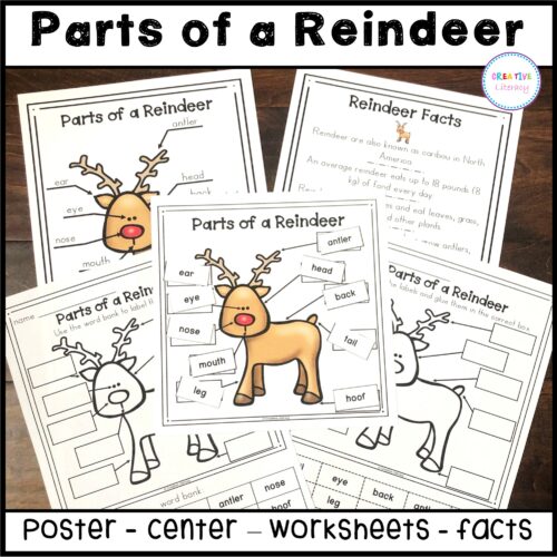 Reindeer Labeling Activity's featured image