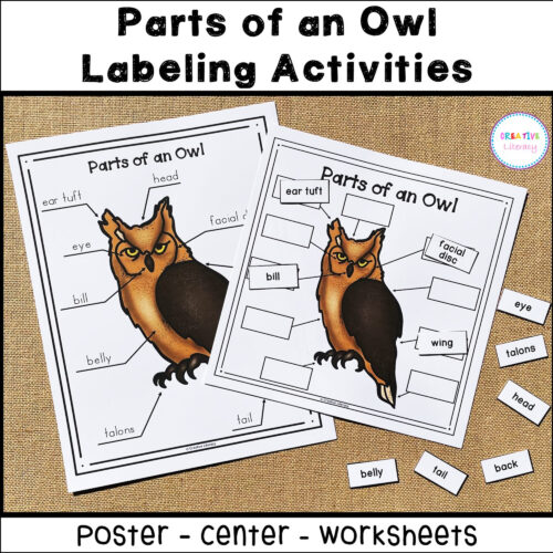 Owl Labeling Activity