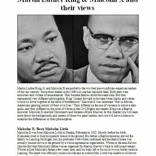 Martin Luther King & Malcolm X on Violence and Integration packet's featured image
