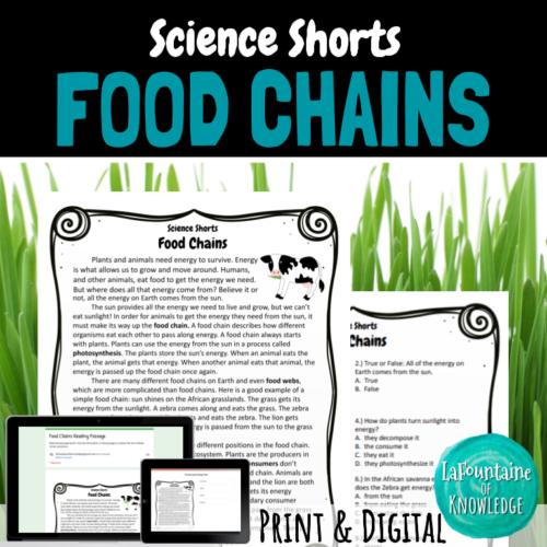 Food Chains Reading Comprehension Passage PRINT and DIGITAL's featured image