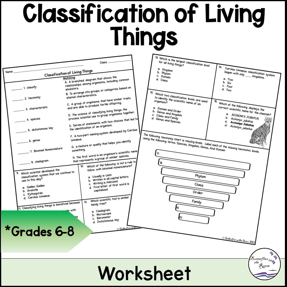 order of classification worksheet