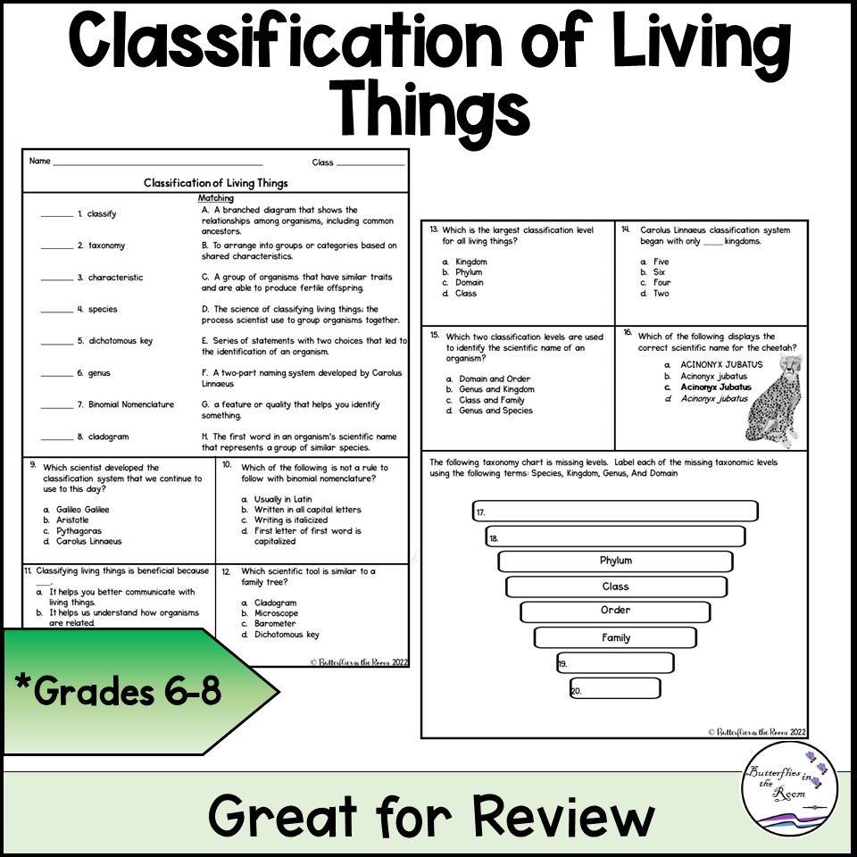 Classification Of Living Things Worksheet Classful 7304