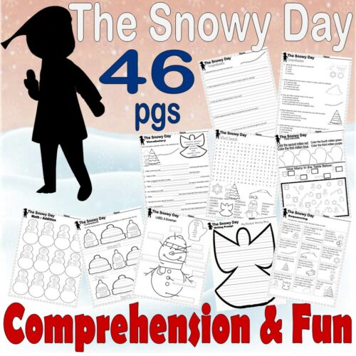 The Snowy Day Winter Reading Comprehension Book Study Companion Literacy Quiz Worksheets