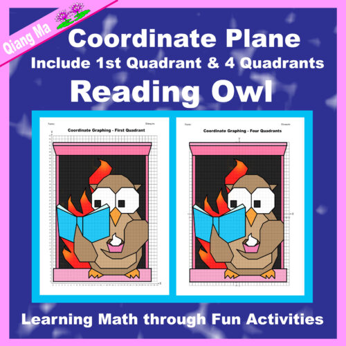 Winter Coordinate Plane Graphing Picture: Reading Owl