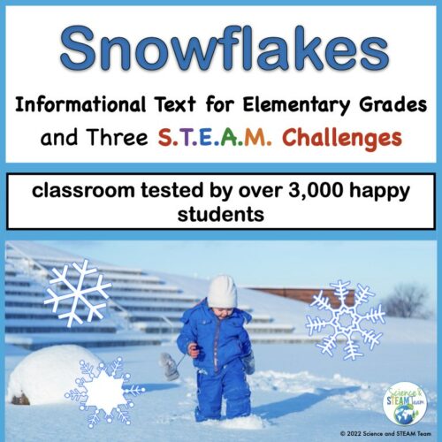 Winter STEM Activities and Snowflake Nonfiction Text's featured image