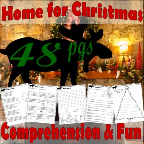 Home for Christmas Jan Brett Reading Comprehension Book Study Companion Literacy Worksheets's featured image