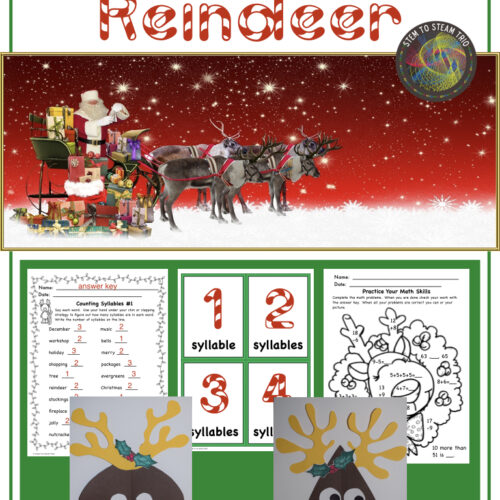 Wild Christmas Reindeer Activity Pack's featured image