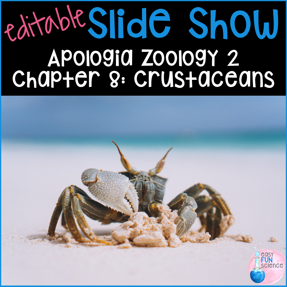 Apologia Zoology 2 Swimming Creatures Chapter 8 Crustaceans EDITABLE