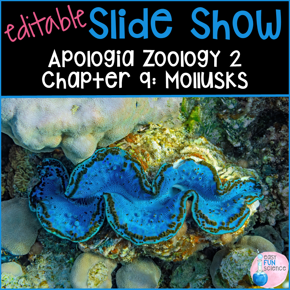 Apologia Zoology 2 Swimming Creatures Chapter 9 Mollusks EDITABLE
