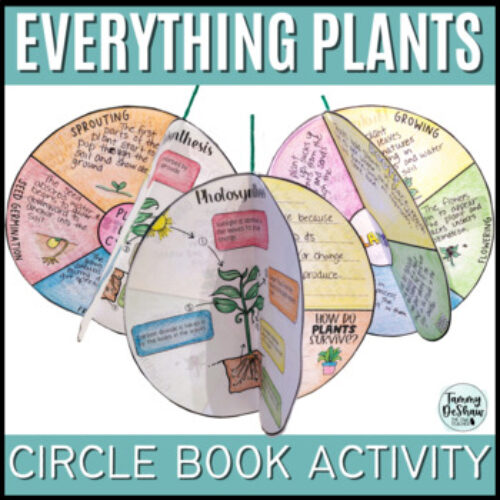 Plant Needs, Parts of a Plant, Photosynthesis, and Plant Life Cycle Activity's featured image