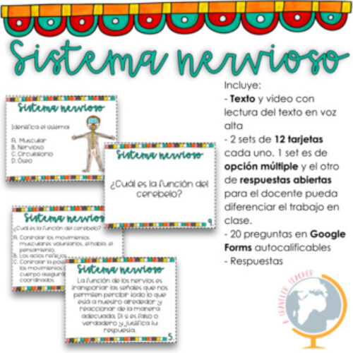 El sistema nervioso preguntas de comprensión's featured image