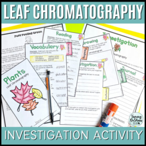 Leaf Chromatography Chlorophyll in Plants Investigation Booklet's featured image