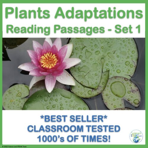 Plant Adaptations Informational Reading Passages's featured image