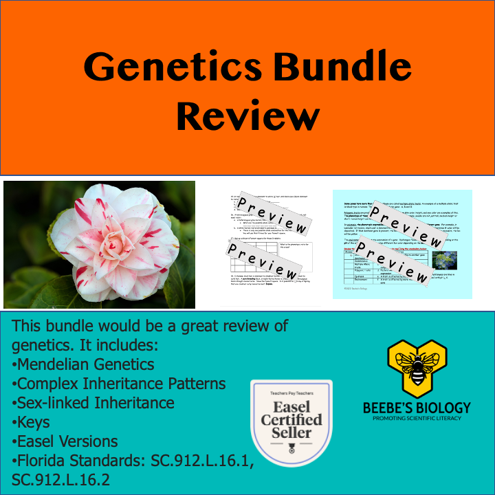 Genetics Review Bundle