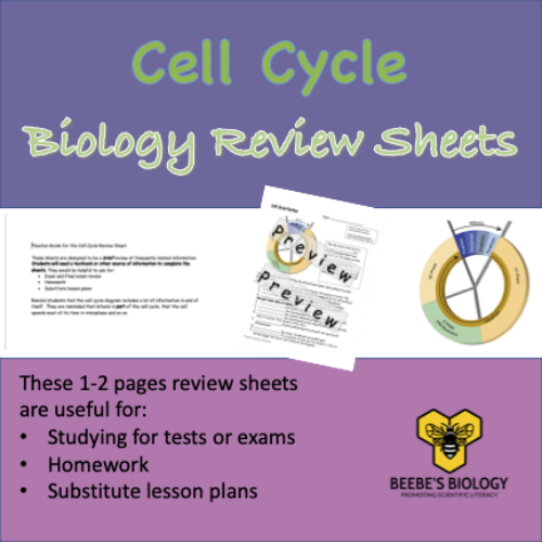 Cell Cycle Review Sheet's featured image