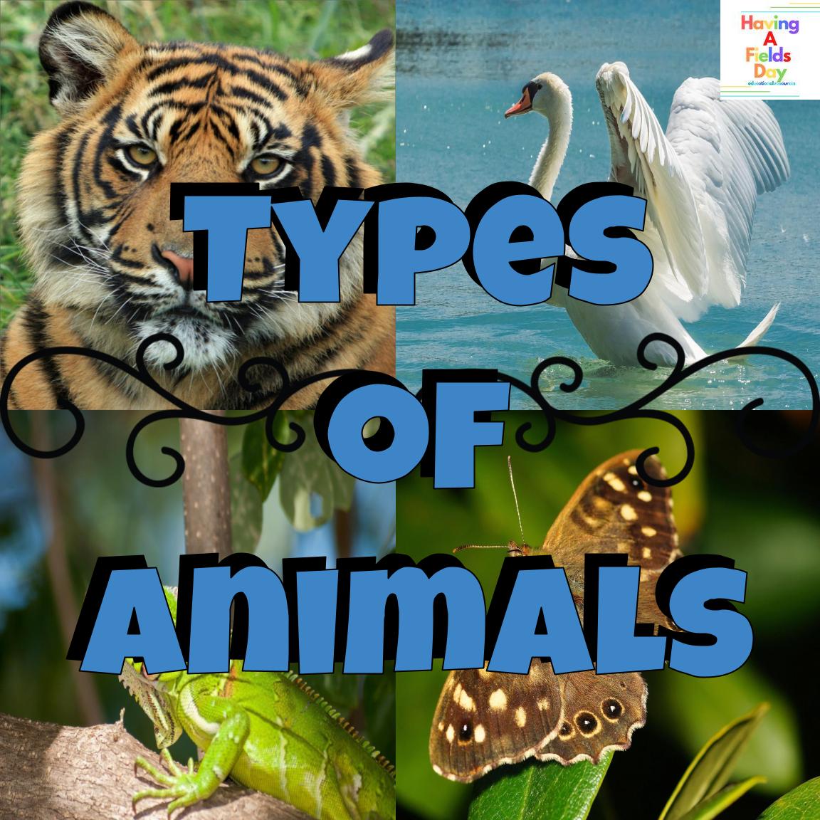 Types of Animals Mini Posters, Picture Task Cards, and Worksheets
