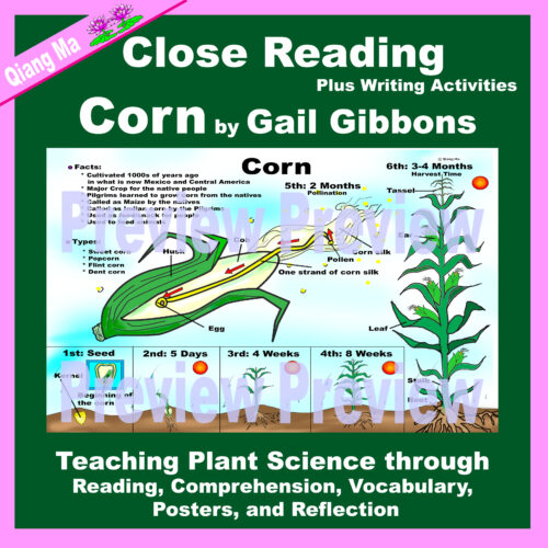 Close Reading: Corn by Gail Gibbons's featured image