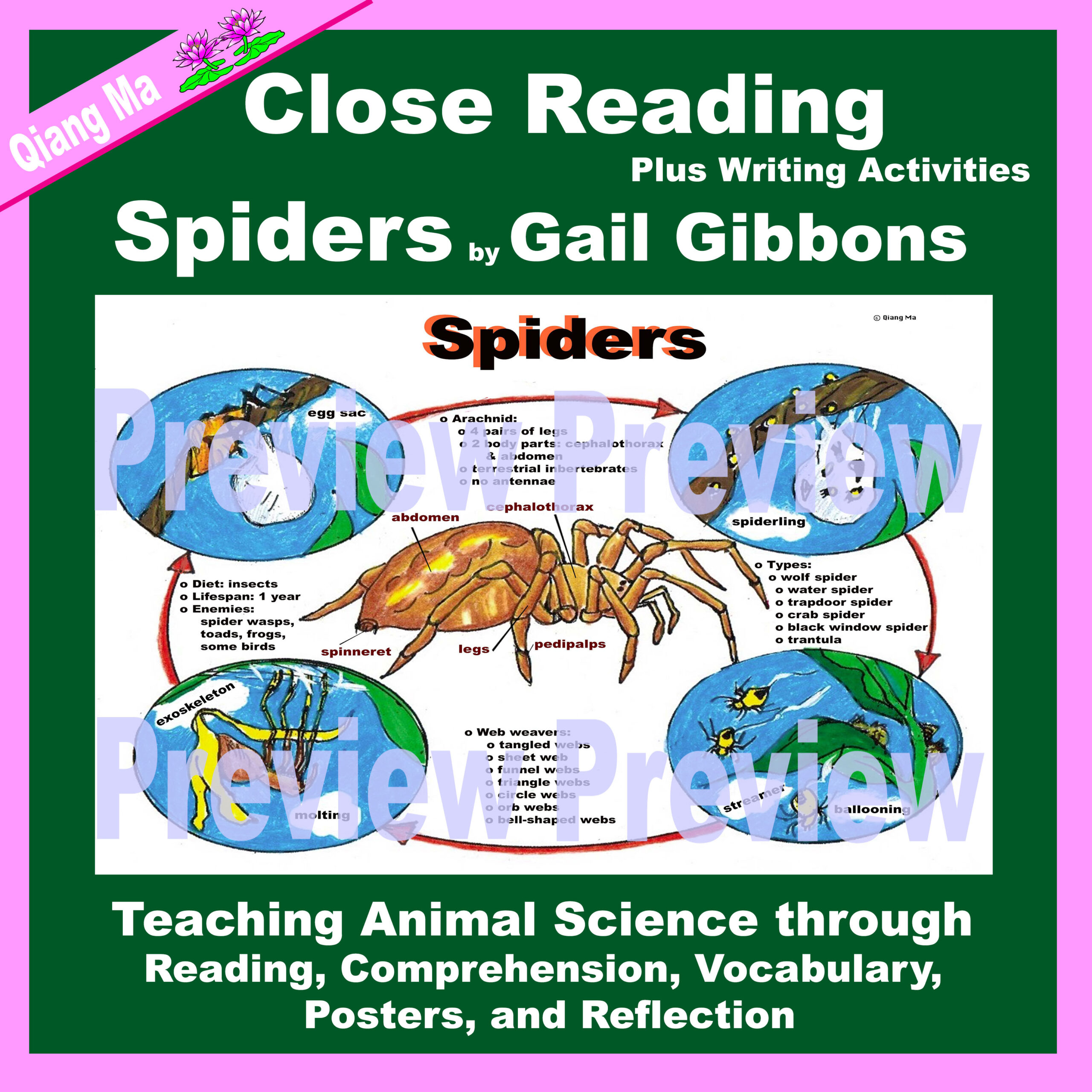 Close Reading: Spiders by Gail Gibbons